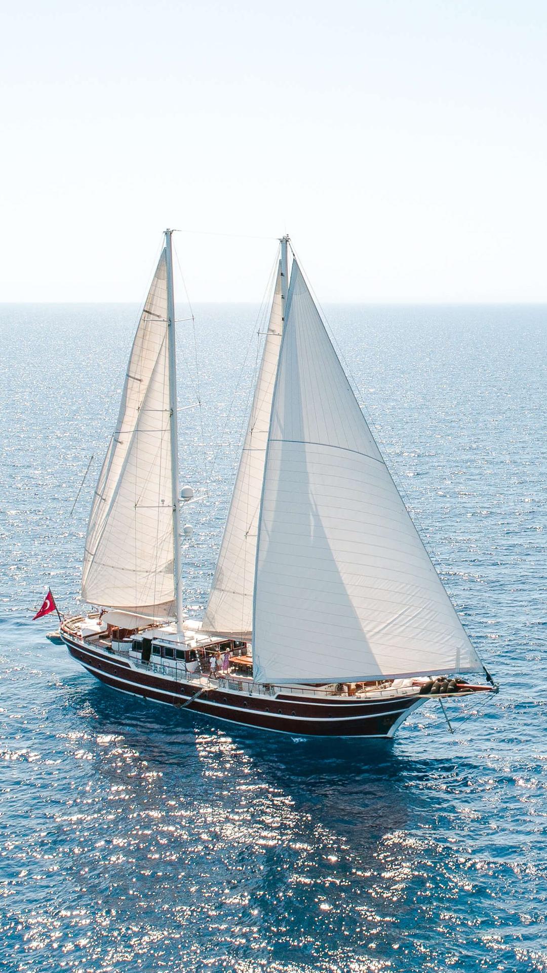 Timeless Elegance